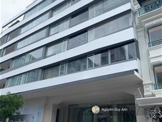 Cho thuê chính chủ biệt thự khu tân định  quận 1