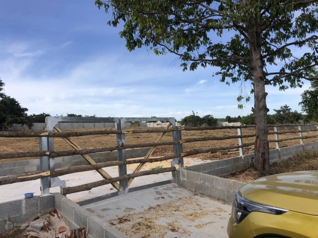 Cần bán đất gần sân bay phan thiết (thung lũng sân bay) xã hàm đức hàm thuận bắc bình thuận