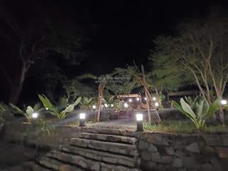 Đất núi 8.4 ha, sát khu dân cư, mặt tiền 320m, phù hợp xây chùa, khu dưỡng lão, khu sinh thái