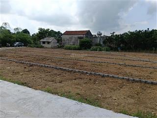 Chính chủ bán 480m đất tại thành minh đã chia làm 4 sổ giá 800 triệu