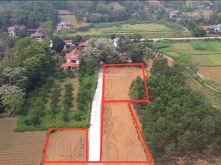 Chính chủ bán mảnh đất thạch thành 1440m đã tách thành 6 lô liền nhau, sẵn sổ đỏ sang tên ngay