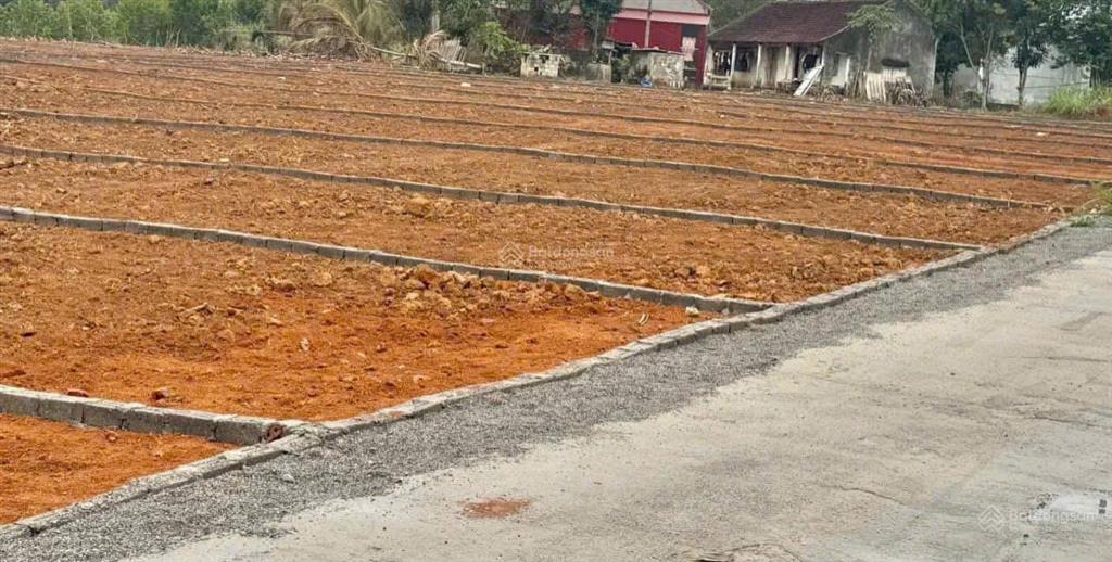 Cần bán lỗ 2 lô liền kề tại thành minh 230m2/ lô giá 165 triệu giá trọn gói