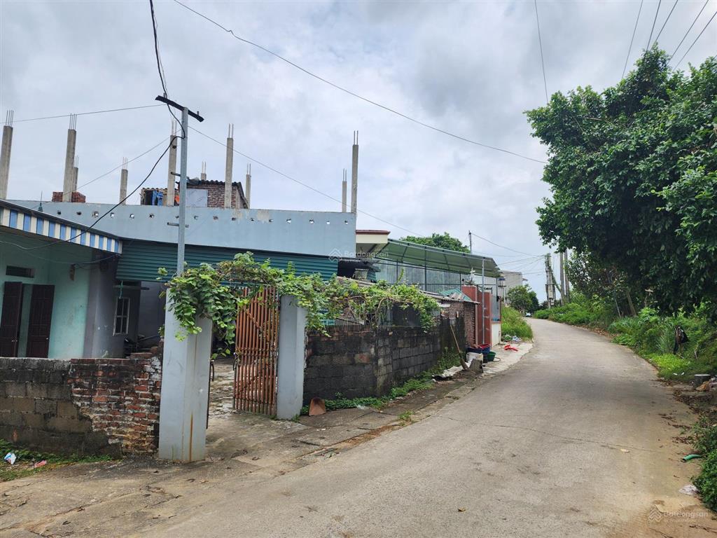 Chính chủ bán đất hòa thạch, quốc oai 117m2, mt 12m, ngõ 6m, 2 ô tô tránh thoải mái, hướng đẹp