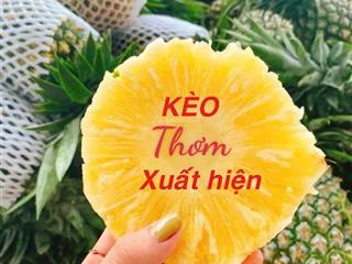 Bán nhà riêng đường 61, phường phước long b, quận 9, hồ chí minh, giá cực chất chỉ với 34 tỷ, 340m2