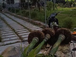 Bán nhà vườn, có thể kinh doanh cà phê, homestay cách đường 35 khoảng 100m.