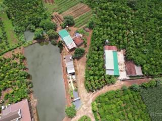 Bán đất tại ea kao, 899 triệu, 220m2, pháp lý đầy đủ, mặt tiền chính 5m, mặt tiền hông 32m