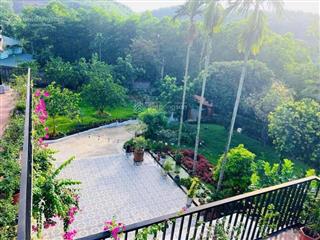 Bán đất 2.500m² hai mặt tiền, biệt thự  homestay đang khai thác tại thung moạ, yên bình