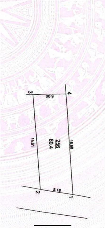 Cần bán gấp nhà mặt phố ngô xuân quảng diện tích 80m²/ mt 5,1m xây 3,5 tầng kinh doanh nổi bật
