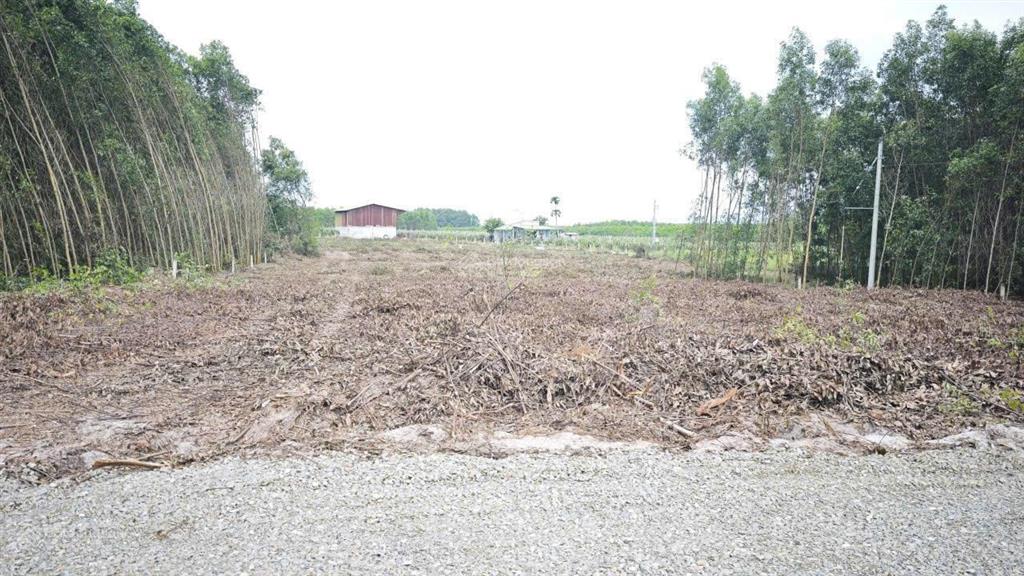 Bán 1033m2 gần đường lý thường kiệt tân phước lagi giá siêu rẻ 950 triệu qh odt