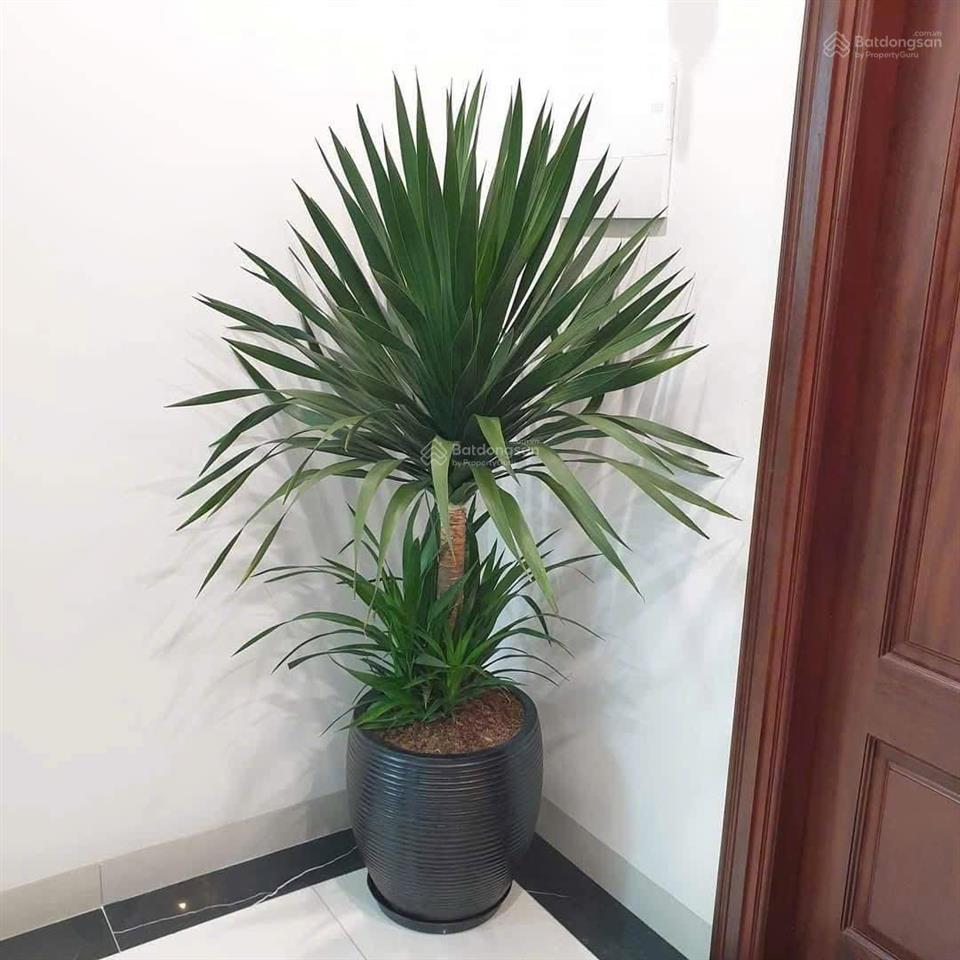 Cho thuê nhà nguyên căn tại meyhomes phú quốc
