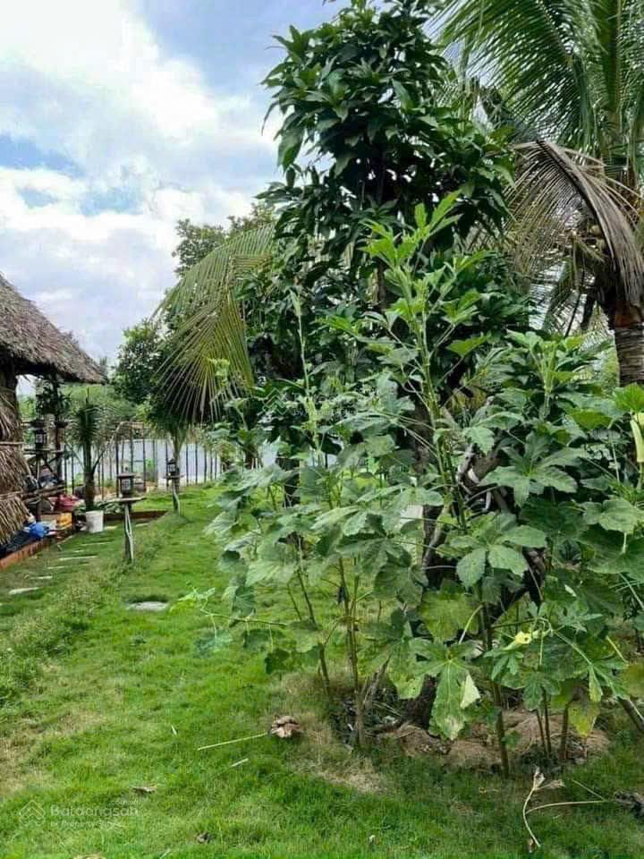 Bán nhanh 939m2 đất đường số 2 p. long phước q9  tp thủ đức