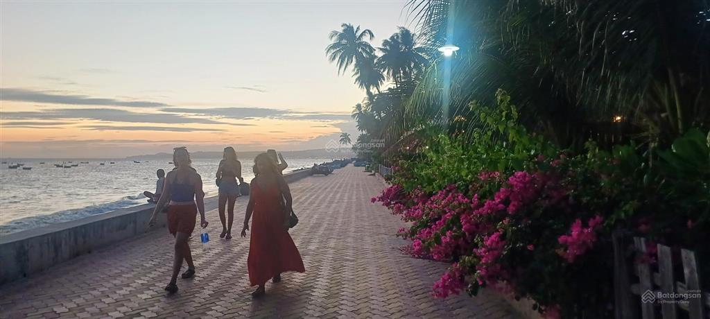 15 lô đất đẹp, giá ngộp tốt nhất khu bãi tắm hòa bình, nguyễn đình chiểu, hàm tiến, phan thiết