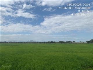Bán đất gần khu tái định cư ba tàu, thôn an thạnh, an hải, ninh phước, ninh thuận