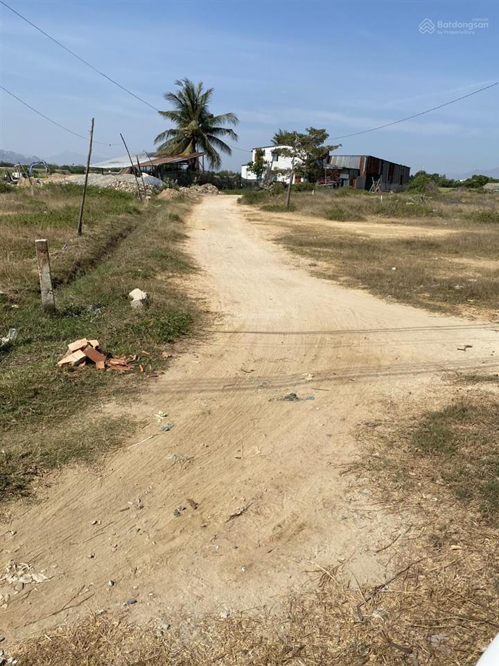 Chính chủ cần bán trọn gói cụm 3 thửa đất liền kề nhau, an thạnh 2, phươc dinh, khánh hòa