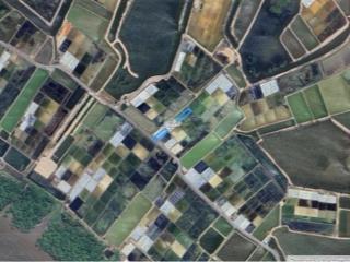 Bán đất mặt tiền đê muối tiền giang, cần giờ. dt 1185m2