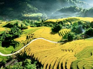 Bán đất ở diện tích 285.7m2 tại phan si păng, sa pa, lào cai, giá 11,5tỷ