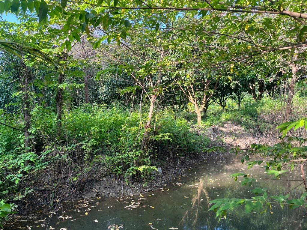 Cần tìm chủ mới bán lô vườn tại vĩnh lương, nha trang, khánh hòa, giá cực chất chỉ 3 tỷ
