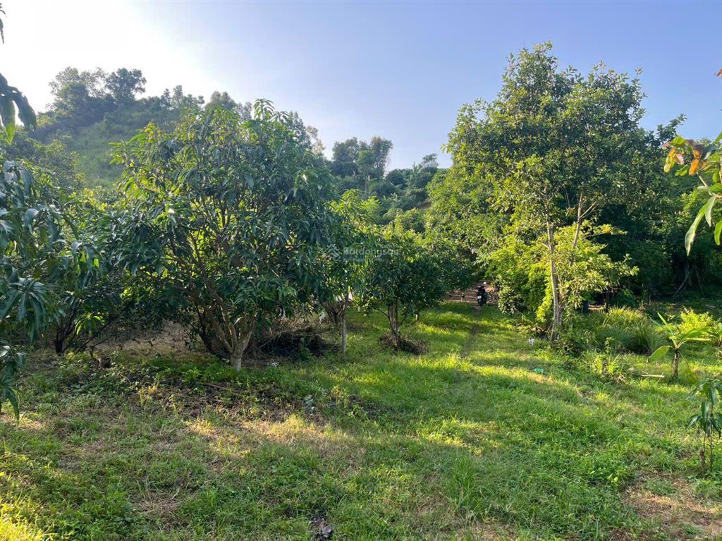 Cần tìm chủ mới bán lô vườn tại vĩnh lương, nha trang, khánh hòa, giá cực chất chỉ 3 tỷ