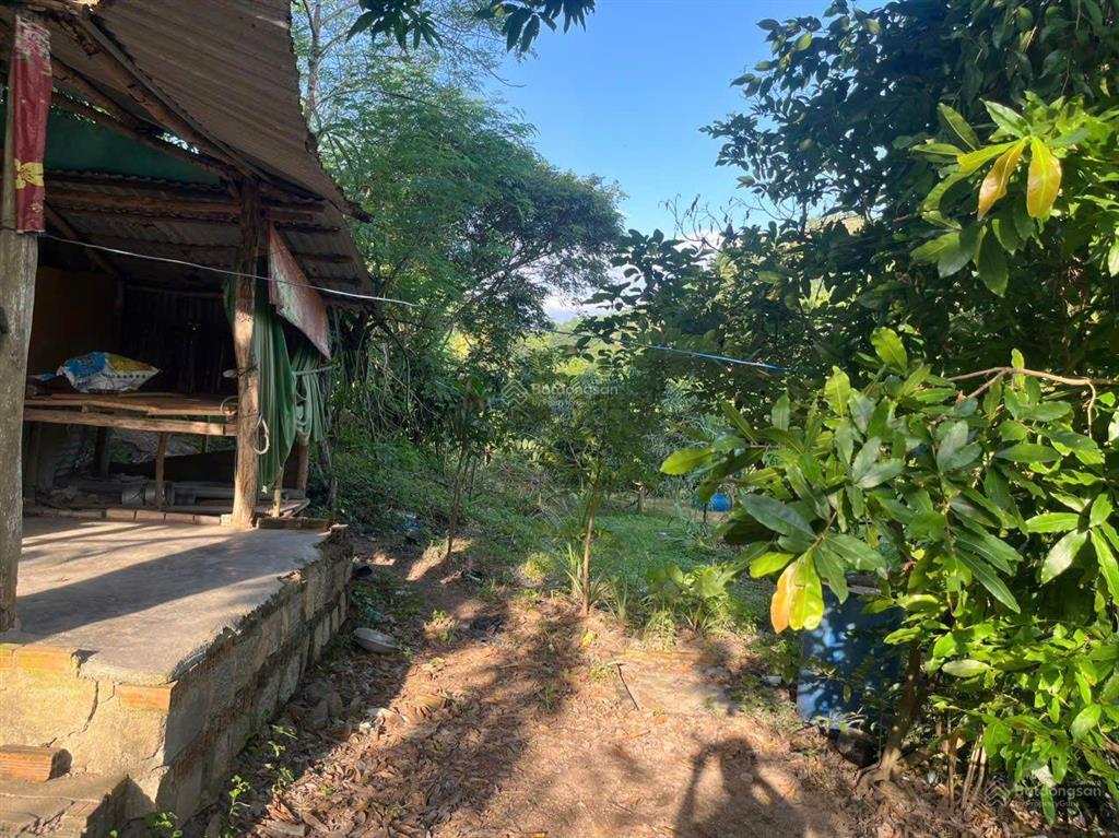 Cần tìm chủ mới bán lô vườn tại vĩnh lương, nha trang, khánh hòa, giá cực chất chỉ 3 tỷ