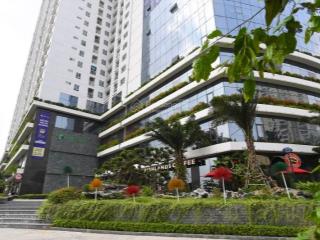 Cho thuê văn phòng chuyên nghiệp ngay tại tòa nhà ecolife capital, tố hữu cây xanh vô cùng mát mẻ