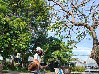 Bán nhà ở savimex 2pn 2wc view đẹp tại quốc lộ 1, bình chiểu, thủ đức, 4,99 tỷ, 88m2 ngang 6.5m