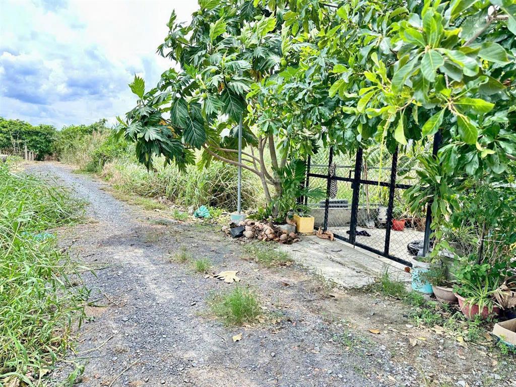 Bán nhà riêng tại tỉnh lộ 816, 1,35 tỷ, 135.8 m2, bến lức, long an