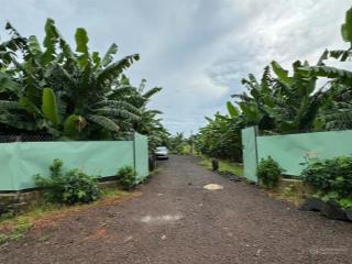 32m mặt tiền, chiều dài 130m chỉ 3 tỷ 360 triệu vừa đủ yên bình để làm nhà vườn nghỉ dưỡng