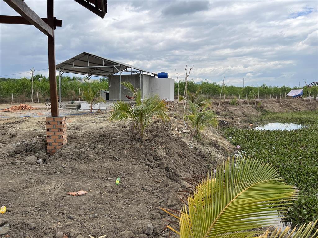 Cần bán 6,8 ha đất đông hà, đức linh, bình thuận, giá 25 tỷ. shr, cc ngay