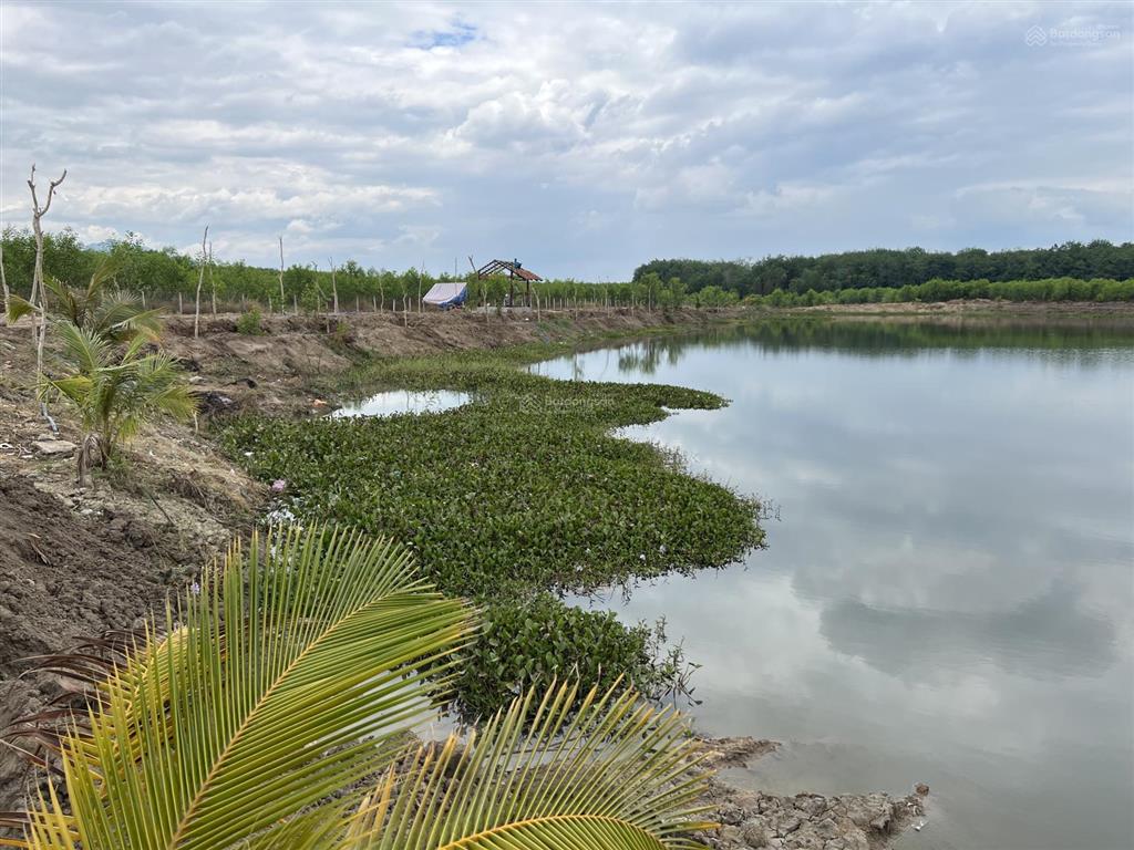 Cần bán 6,8 ha đất đông hà, đức linh, bình thuận, giá 25 tỷ. shr, cc ngay
