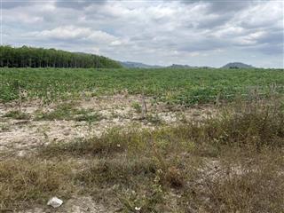 Bán 9,8 ha đất suối kiết, tánh linh, bình thuận. giá 28 tỉ, shr, cc ngay