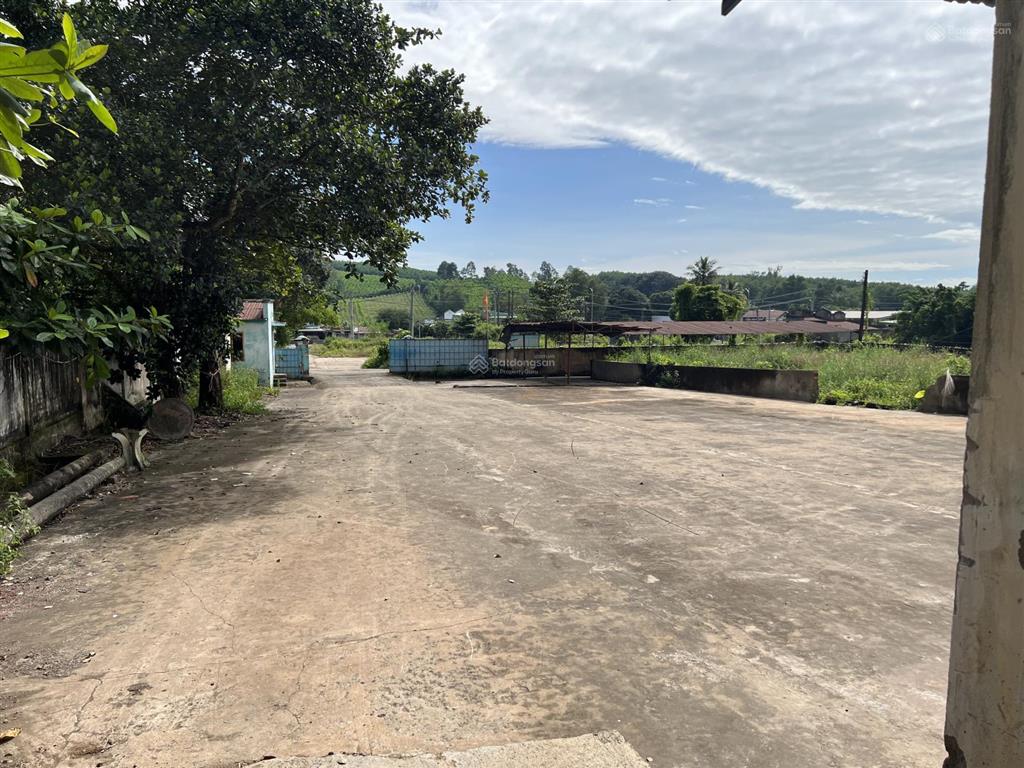 Cần cho thuê kho xưởng sản xuất, ngay chân cao tốc dầu giây  phan thiết và ql1, 6.400m2, 80tr/th