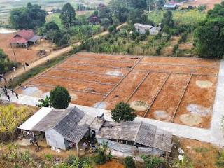Em có vài lô ở yên nghiệp giá chỉ từ 220tr/1 lô có ngay lô đất loanh quanh 168200m2