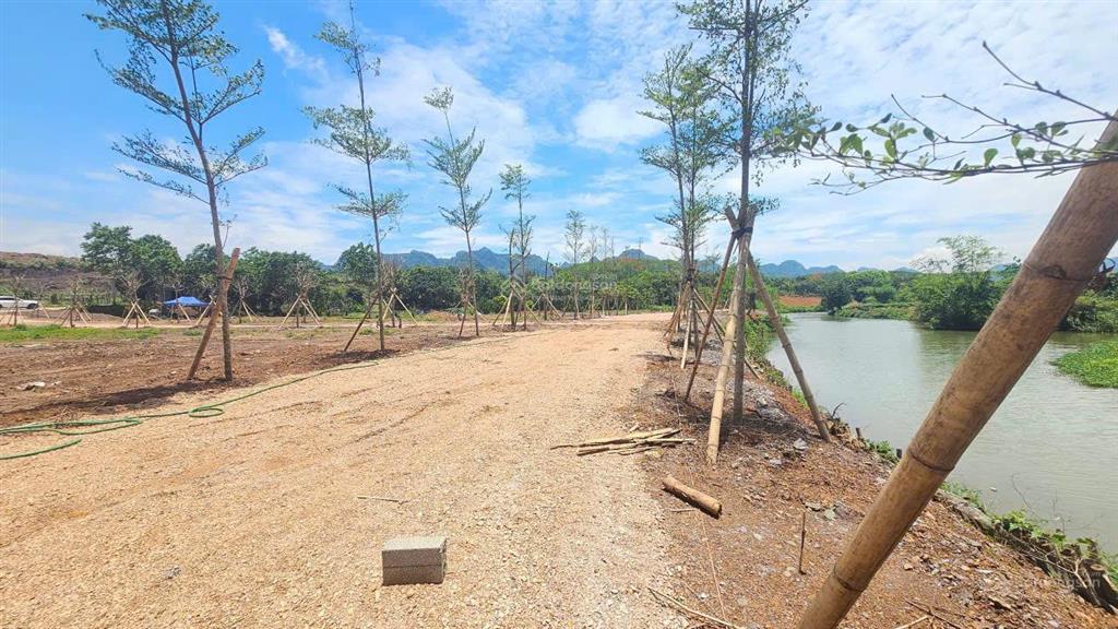 Em cần bán lô đất 180m,mt 7,5m tại xã phú thành , lạc thuỷ, hòa bình