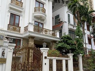 Chính chủ bán biệt thự 5 tầng mới xây dựng khu dịch vọng, gần cv cầu giấy, dt đất 200m2. giá 70 tỷ