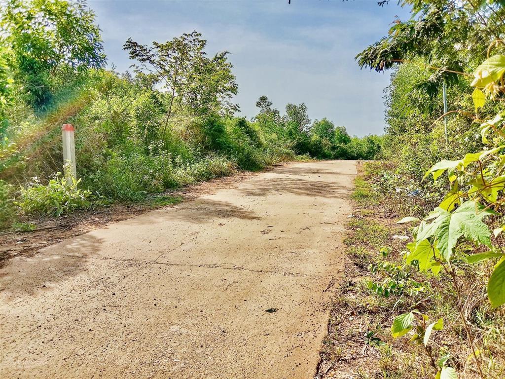 3.356m2 đất đẹp diên xuân 47m mặt tiền pháp lý chuẩn, tiềm năng homestay, giá đầu tư