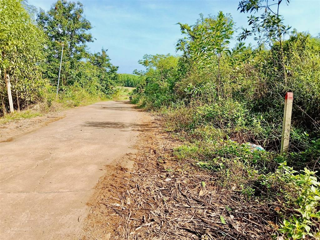 3.356m2 đất đẹp diên xuân 47m mặt tiền pháp lý chuẩn, tiềm năng homestay, giá đầu tư
