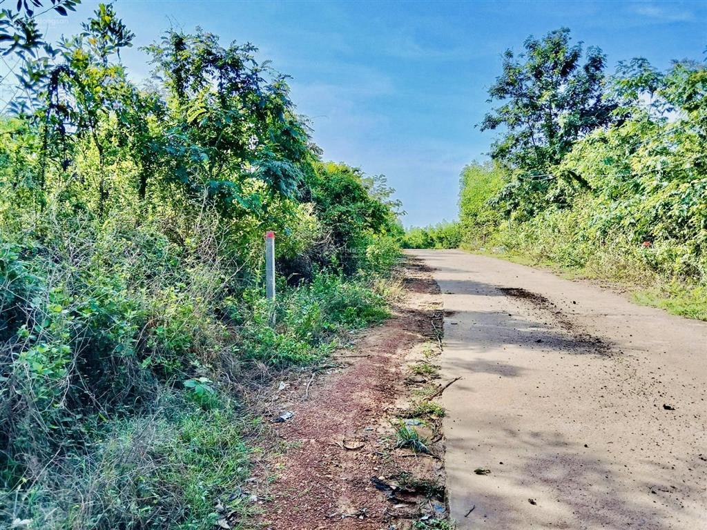 3.356m2 đất đẹp diên xuân 47m mặt tiền pháp lý chuẩn, tiềm năng homestay, giá đầu tư