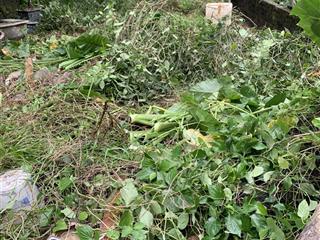 Chính chủ gửi bán lô đất đường an thượng  xã an khánh  hà nội . giá 4.96 tỷ