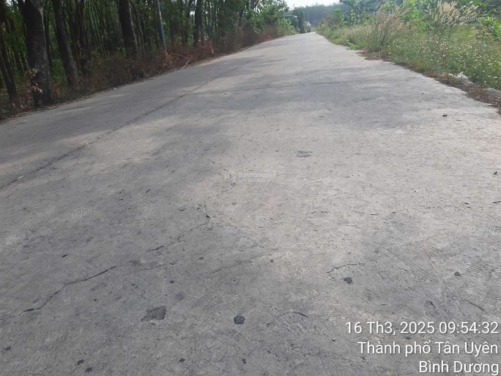 Bán đất mặt tiền đường phú chánh 21, bình dương diện tích khủng 6.400m², đã có 900m² thổ cư giá rẻ