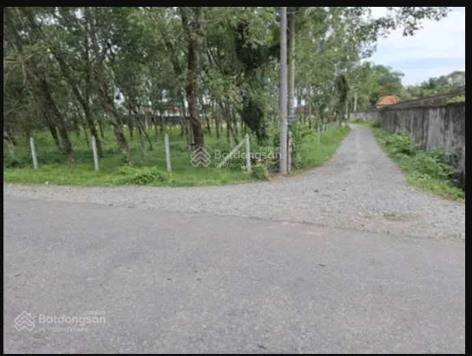 Bán đất thổ cư mặt tiền hương lộ 8, tây ninh giá cực tốt thích hợp kho xưởng/đầu tư chốt nhanh 12tỷ