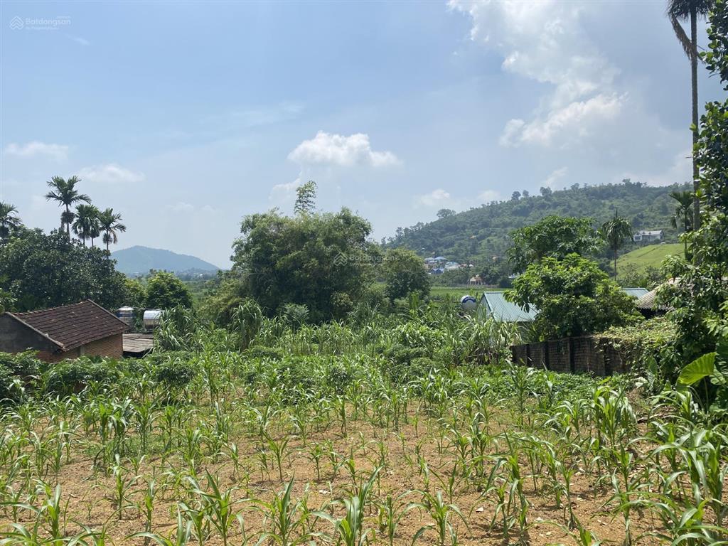 Bán 862m2 đất nghỉ dưỡng view cánh đồng tuyệt đẹp tại tiến xuân huyện thạch thất hà nội