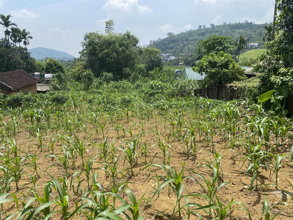 Bán 862m2 đất nghỉ dưỡng view cánh đồng tuyệt đẹp tại tiến xuân huyện thạch thất hà nội