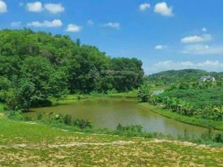 Bán 5000m2 đất nghỉ dưỡng yên bài, ba vì, hn