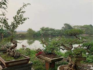 Bán đất nông nghiệp 2 mặt tiền