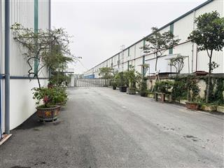 Cho thuê kho, nhà xưởng, đất tại đường đt 316, xã bắc sơn, tam nông, phú thọ, 5000m2