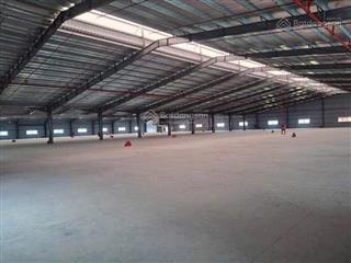 Seigroup cần chuyển nhượng nhà máy tại kcn đài tư, diện tích 1500m² doanh số 2 tỷ/năm