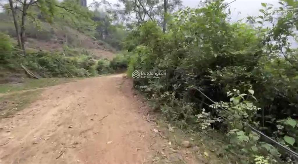 Chúng tôi muốn bán 2300 m2 đã có đất hỗn hợp tại xã suối rao, huyện châu đức, bà rịa vũng tàu