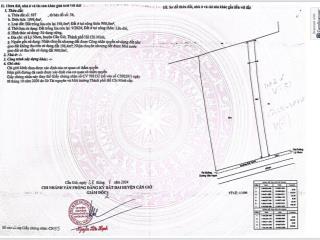 Bán đất tại xã lý nhơn, cần giờ, hcm giá ưu đãi 11,5 tỷ, diện tích 1098 m2