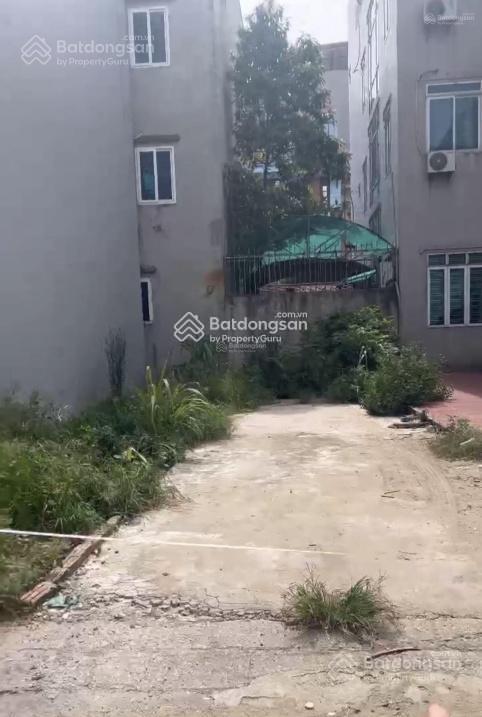 Chính chủ bán mảnh đất ngõ 6 cầu dừa , thường tín, sđcc