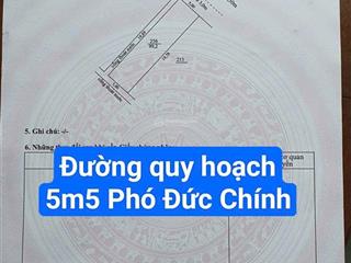 Đường quy hoạch 5m5 phó đức chính. sơn trà...gần vương thừa vũ. s= 100m2 ( 5x20) giá 8.9 tỷ